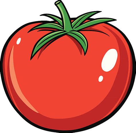 Royalty Free Tomato Clip Art Vector Images And Illustrations Istock