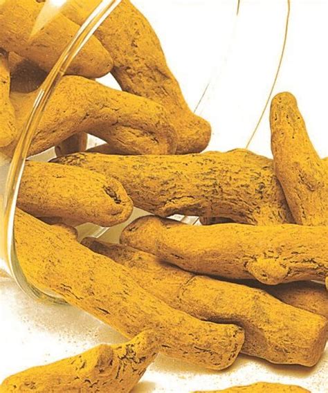 Turmeric Fingers Color Yellow At Best Price In Surat Baldha Export