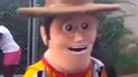 45 Meme Woody