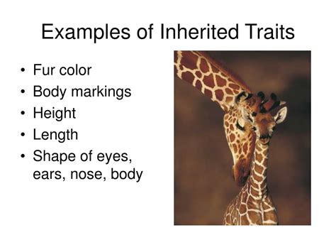 Traits Examples