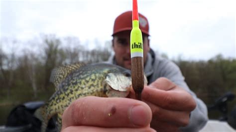 Best Bobber For Crappie Fishing How To Catch Crappie With A Bobber