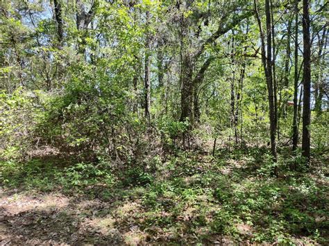 3.68 Acre± Lot: Railroad Street, Hartselle