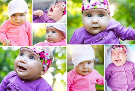 6184 Baby Collage Stock Photos Free And Royalty Free Stock Photos From