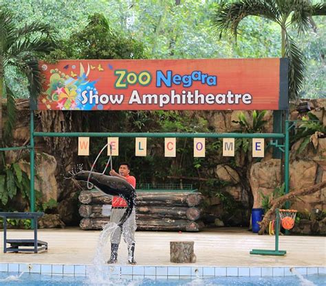 Rm37.50 per pax (13 years old and above) child: Attention, December Babies! Zoo Negara Wants To Give You A ...