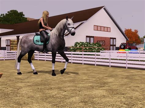 Sims 3 Pets Riding The Beginnings By Horsespectrum On Deviantart