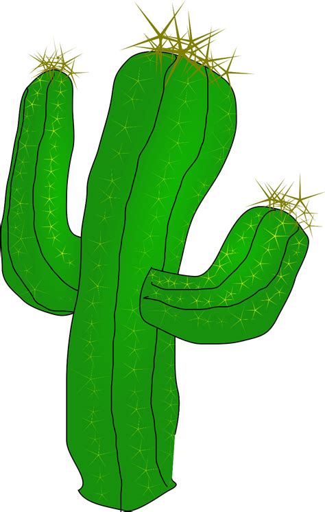 Cartoon Cactus Png Free Logo Image