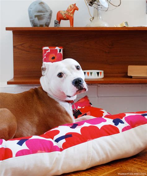 Cool Diy Dog Beds With A Fancy Twist Decoist