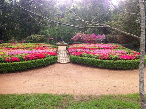 Maybe you would like to learn more about one of these? Butterfly Garden - Bayou Bend Houston Texas. | Butterfly ...