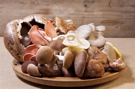The 12 Healthiest Mushrooms That You Can Eat All Things Here