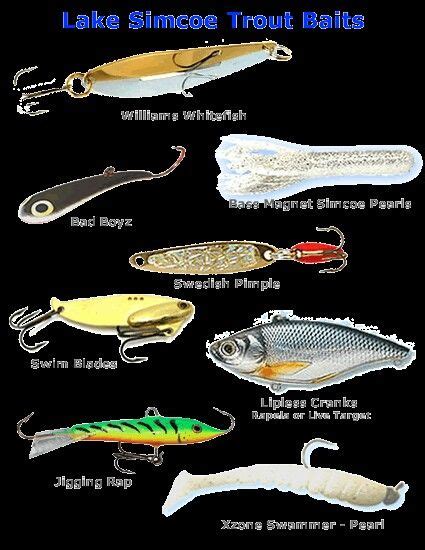 Your recipe to a fun day on the dock: Lake Simcoe trout baits | Trout bait, Trout fishing tips ...