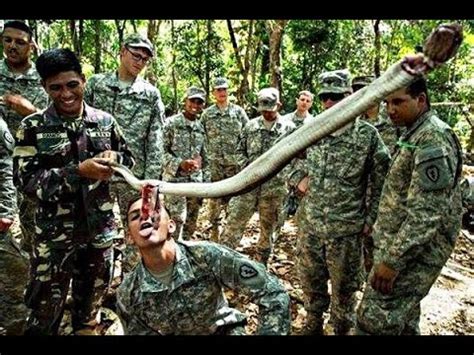 Maybe you would like to learn more about one of these? Beginilah Tentara Amerika Latihan Perang di Hutan Prancis | Jinjurici Daily - YouTube