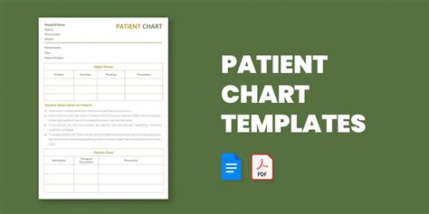 14 Patient Chart Templates In Word Excel Apple Numbers Apple