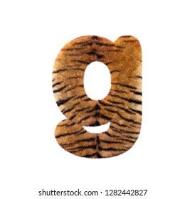 Tiger Letter G Lowercase D Feline Stock Illustration
