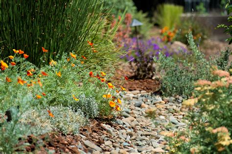 Greatest Drought Tolerant Landscape Design Plans Design Flower Garden
