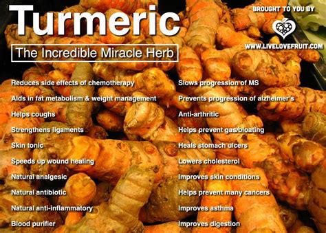 Freezing fresh turmeric root requires just a few more steps than normal countertop or refrigerator storage and more than doubles this powerful root's lifespan. Turmeric Protects You Brain From Fluoride | Truth Sayer