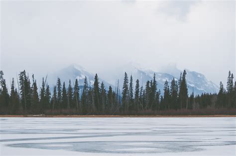 Free Images Conifer Fog Ice Lake Landscape Mist Mountains