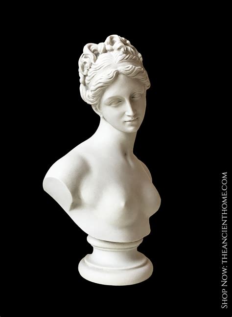 Venus Bust Sculpture Goddess Of Love Bust Sculpture Portrait Sculpture Sculpture