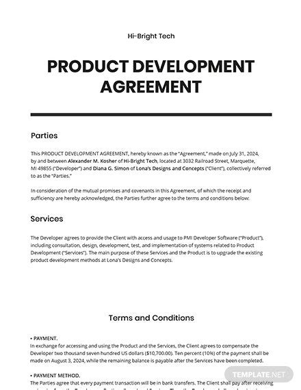 New Product Development Plan Template