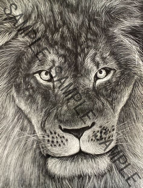 Lion Scratch Art Print Justastarvingartist Foundmyself