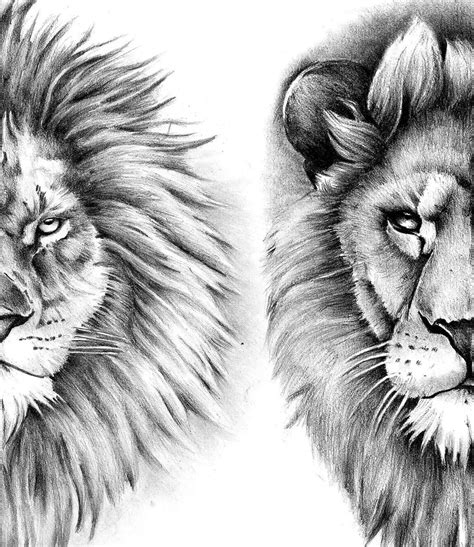 4 X Realistic Lion Tattoo Design Digital Download Tattoodesignstock