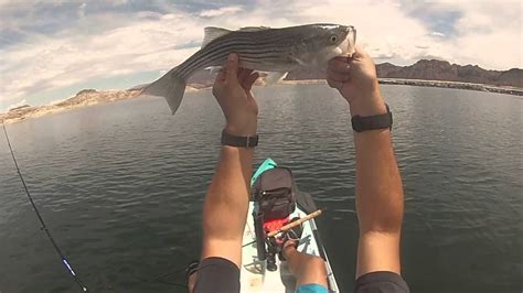 Paddle And Fish Lake Mead 4 28 2016 Youtube