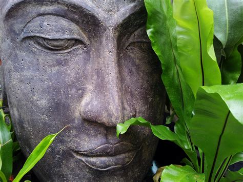 Check spelling or type a new query. Create a Meditation Sanctuary with Your Own Zen Garden