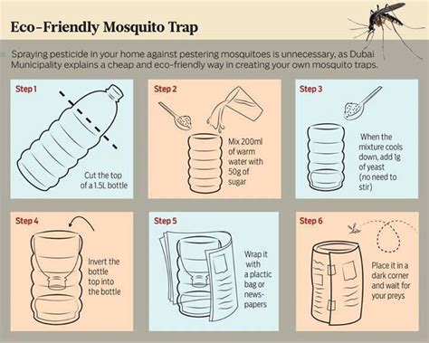 Trap And Kill Mosquitoes By This Simple Method Infographic Farm