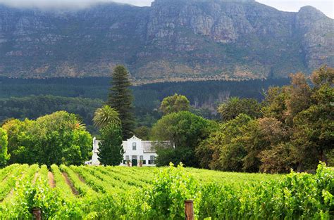 Private Tour Stellenbosch Franschhoek And Paarl Wine Tasting Tour