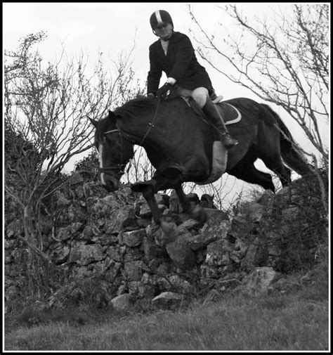 Romeo And Mike At The Galway Blazers December 2013 Cross Country Jumps
