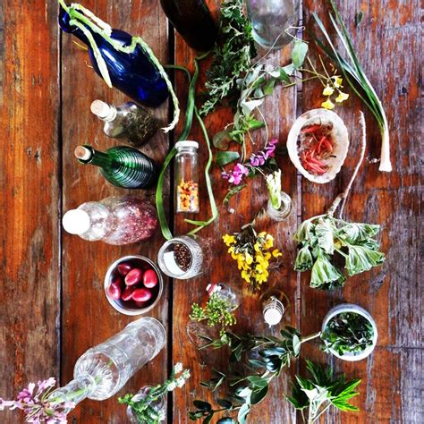 The only website where you can select the florist to deliver your flowers and bouquet arrangements. 12 edible indigenous South African plants - Africa Geographic