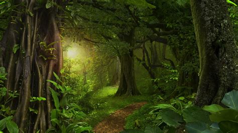 Wallpaper Forest Jungle Trees Path Green 3840x2160 Uhd 4k Picture