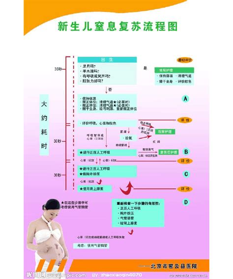 新生儿窒息复苏流程图图片word文档在线阅读与下载免费文档