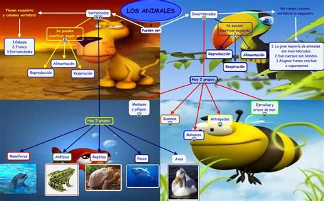 Conoblog Mapa Conceptual Animales Vertebrados E Invertebrados