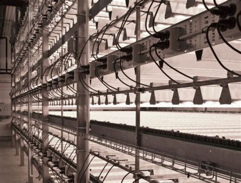 Scarce resources, decreasing the availability of cultivable land and the growing need for sustainable food production is calling for alternative solutions. Vertical Farming - Valoya LED Grow Lights