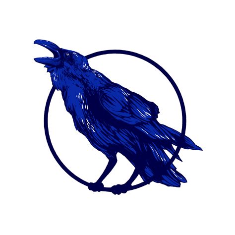 Blue Raven Sundbyvester