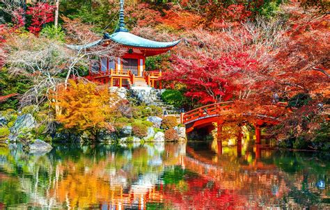 Обои осень листья деревья парк Japan Kyoto Nature Bridge Park