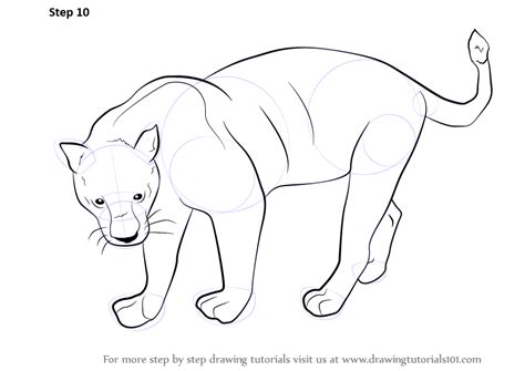 How To Draw A Black Panther Wild Animals Step By Step