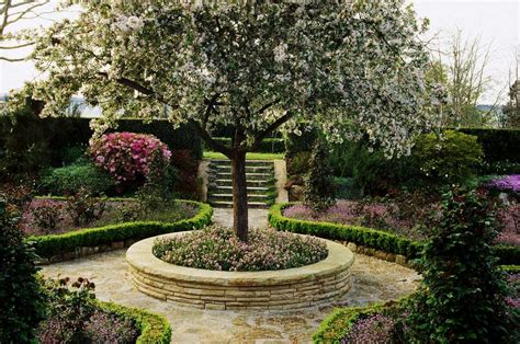 13 Best Small Trees For Patios
