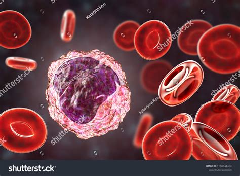 Monocyte Surrounded By Red Blood Cells Stock Illustration 1188044464