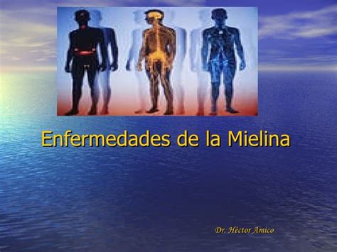 Enfermedades De La Mielina