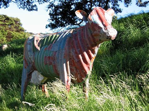 Corrugated Iron Cow By Jeff Thomson New Zealand Artist Who Sculpts