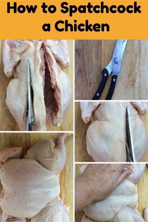 how to spatchcock butterfly a chicken once the chicken has been butterflied it can … diy