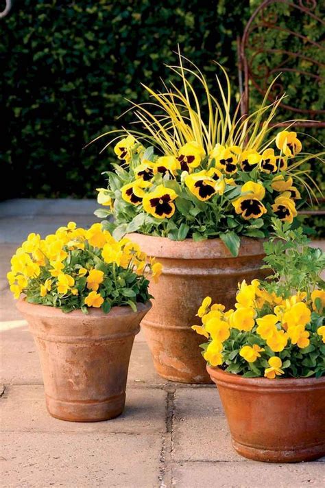 75 beautiful summer container garden flowers ideas homekover fall container gardens full