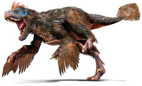 Velociraptor Velociraptor Facts Dk Find Out