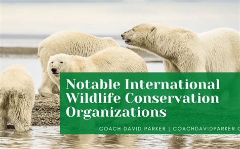 Notable International Wildlife Conservation Organizations Coach David
