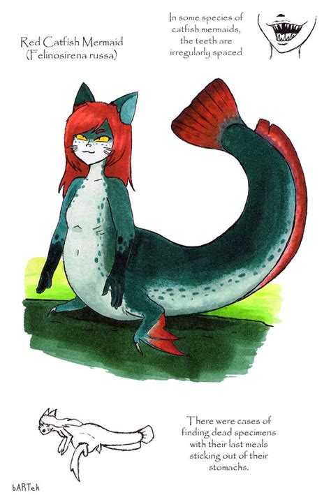 Mermay 2021 3 Red Catfish Mermaid By Irritator Fan On Deviantart