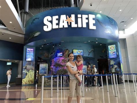 Discover The Fun Of Sea Life Orlando Aquarium Chip And Company