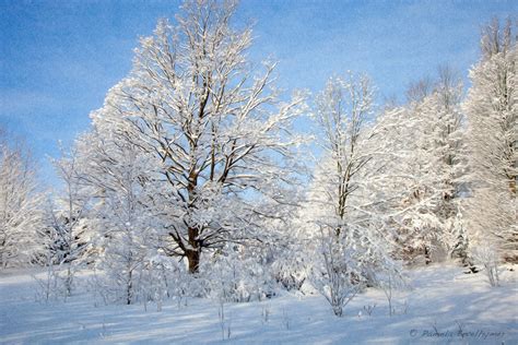 Winter Wonderland In Traverse City Michigan Pamela Bevelhymer Flickr