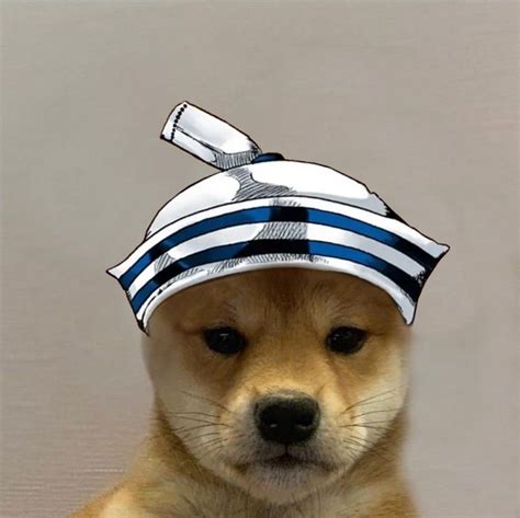 Dog With Hat Jojo Josuke 8 Jojos Bizarre Adventure Dog Icon Anime