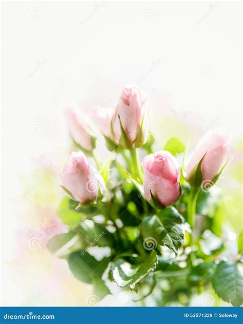 Small Pink Roses Bouquet On The Windowsill In Bright Light Stock Image